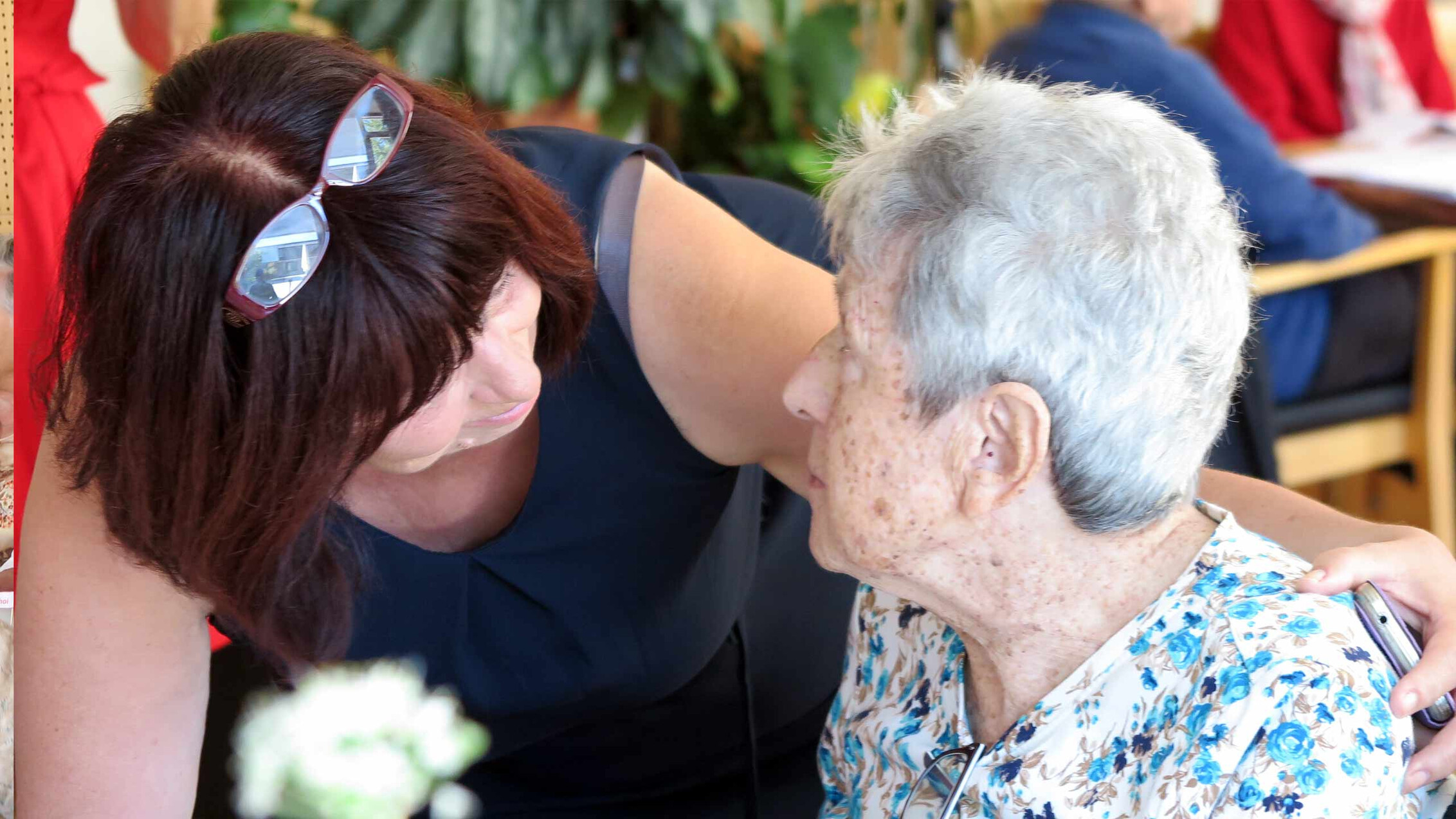 Mohi Feldkirch zemmasi