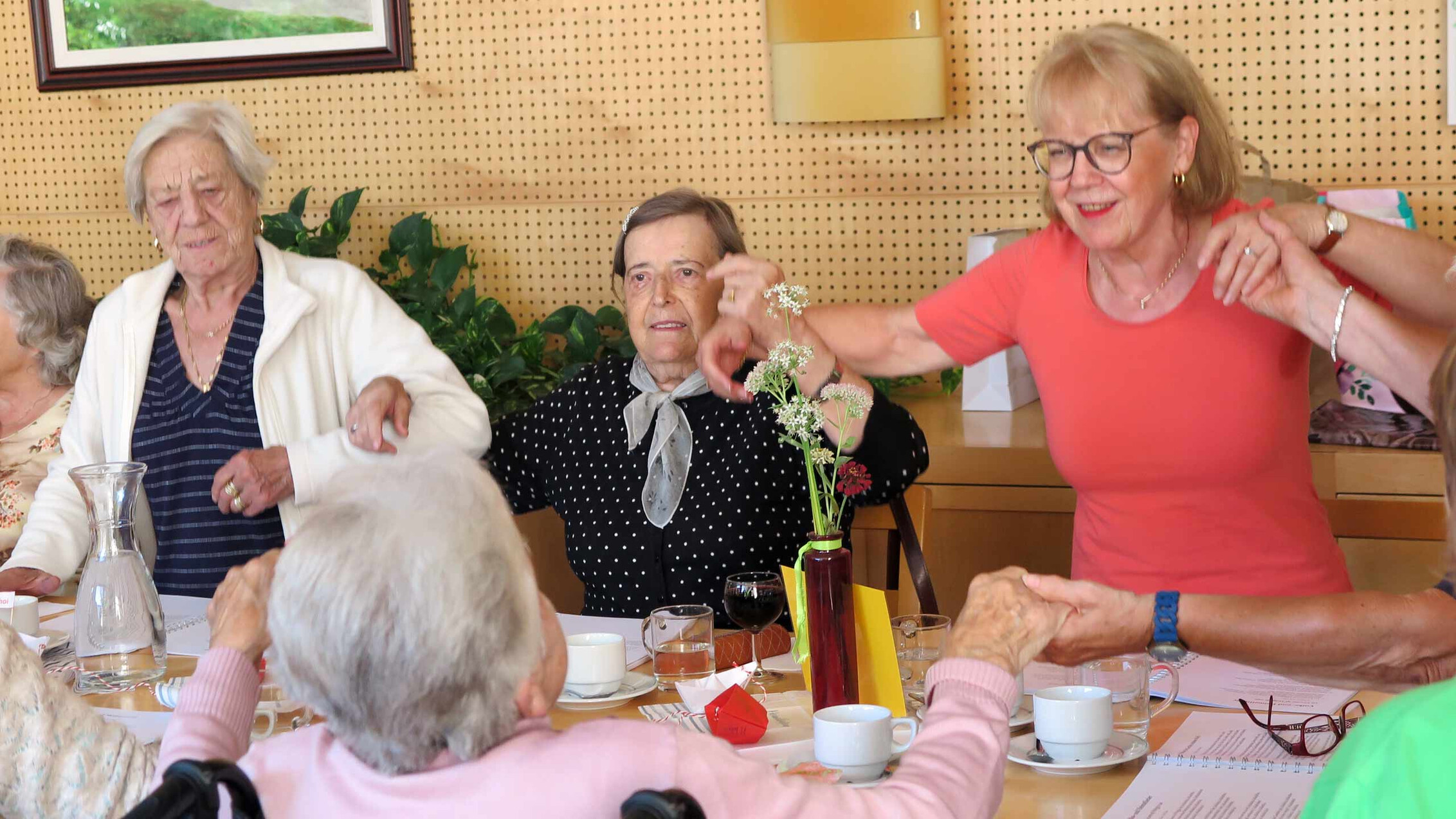 Mohi Feldkirch zemmasi