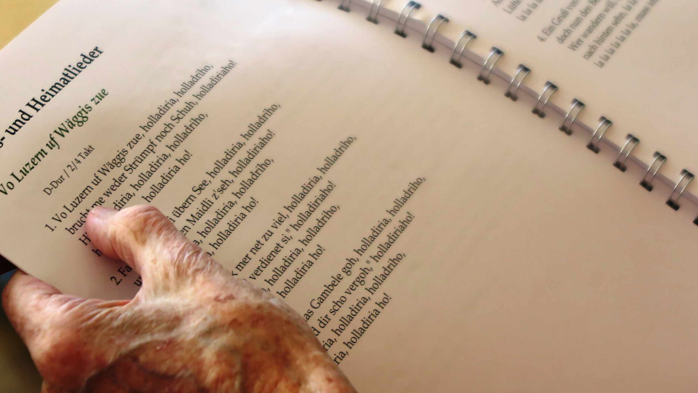 Mohi Feldkirch zemmasi